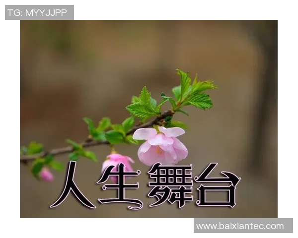 赵娜的足球人生深度对话：从绿茵场到人生舞台的精彩旅程